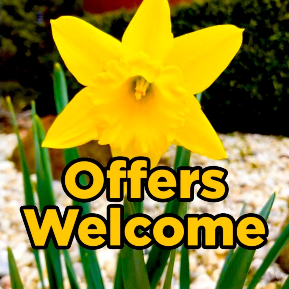 I love offers!